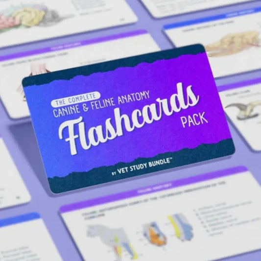 Canine & Feline Anatomy Flashcards