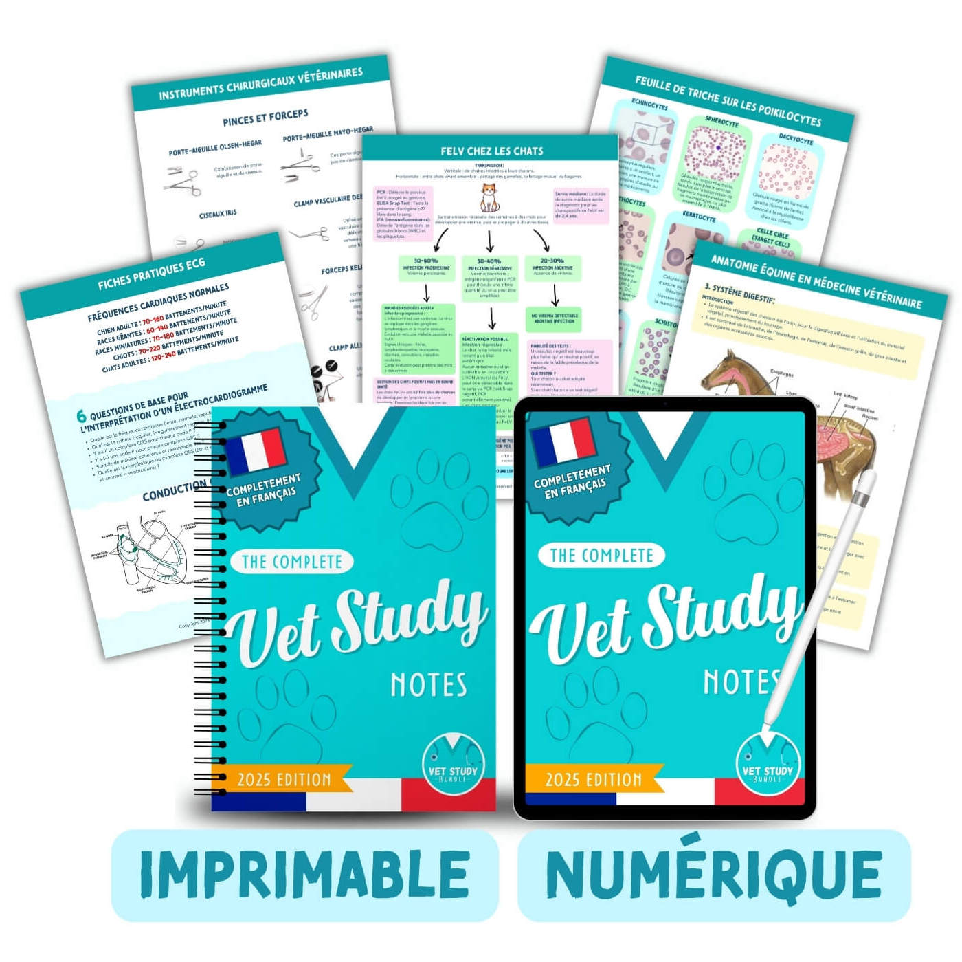 Le Pack d'Études Vétérinaire