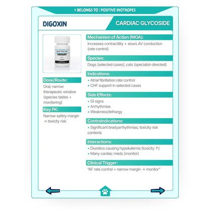 Pharmacology Memory System