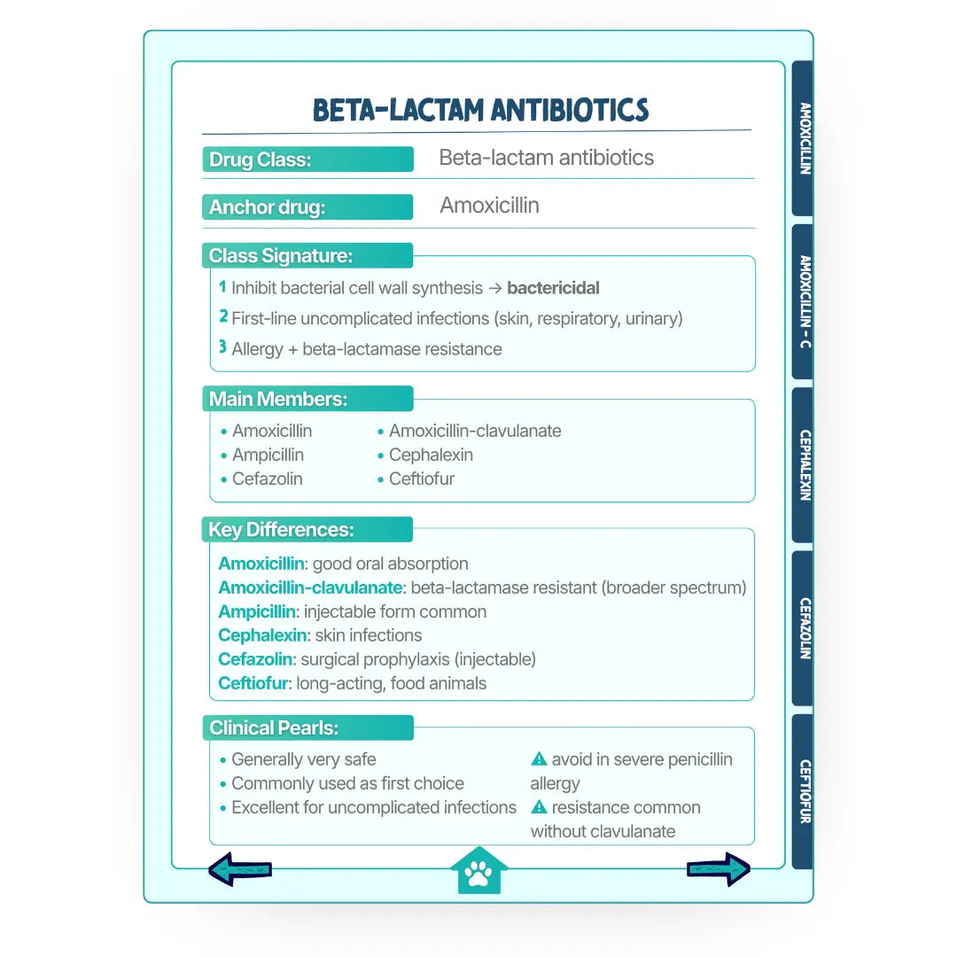 Pharmacology Memory System