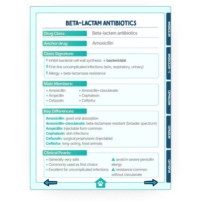 Pharmacology Memory System