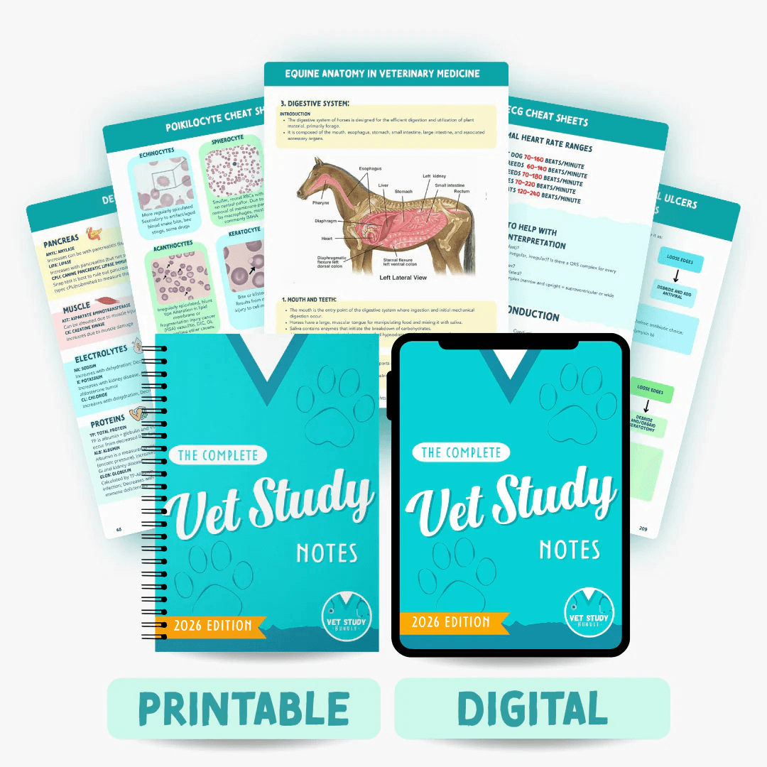 The Complete Vet Study Bundle