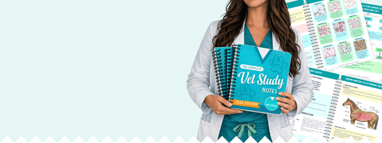 Vet Study Bundle – Concise Veterinary Study Notes & Flashcards