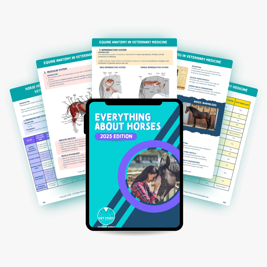 25.png__PID:a76705ce-5bac-4bf0-b7cb-7d677f04ba5b