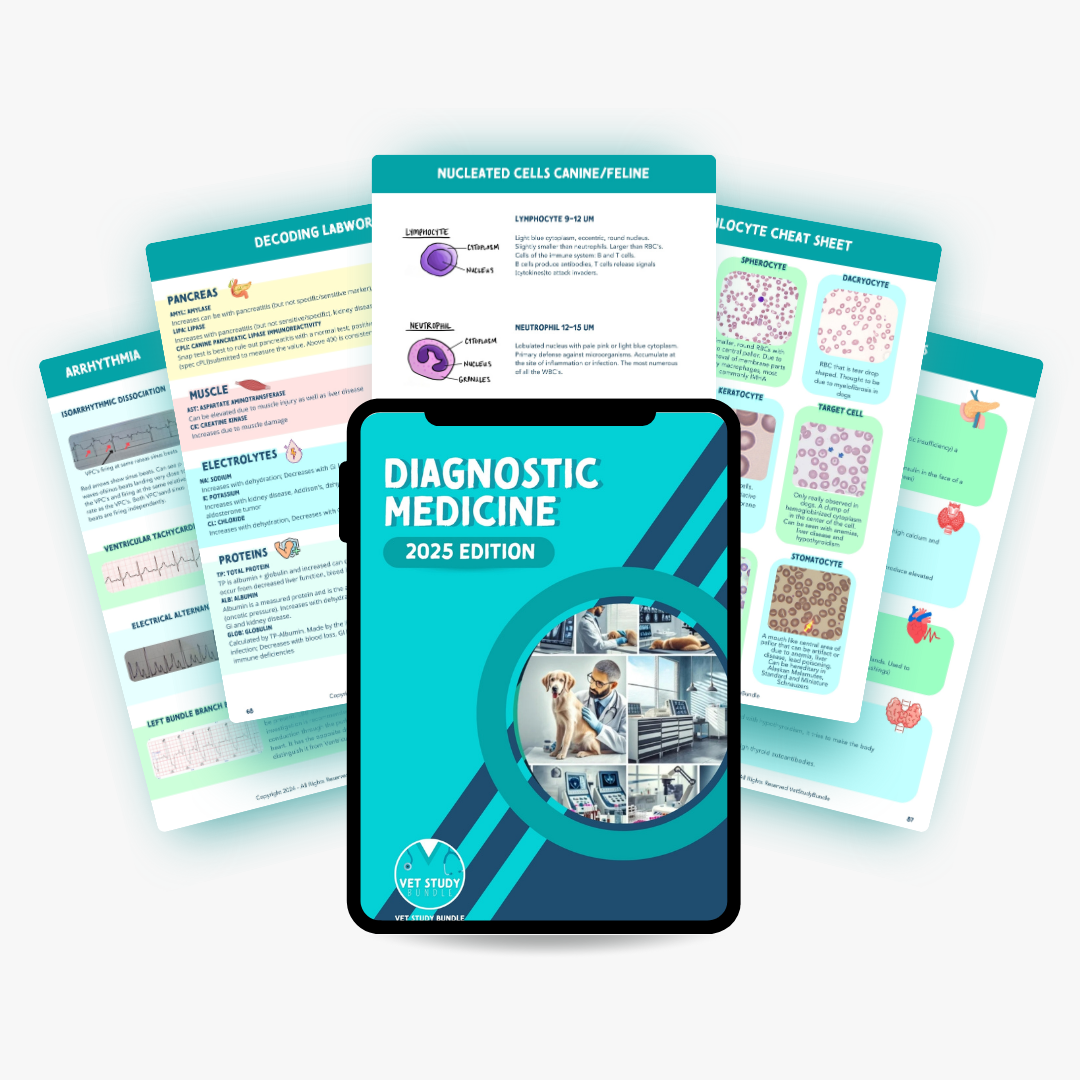 26.png__PID:6705ce5b-ac6b-4077-8b7d-677f04ba5b50