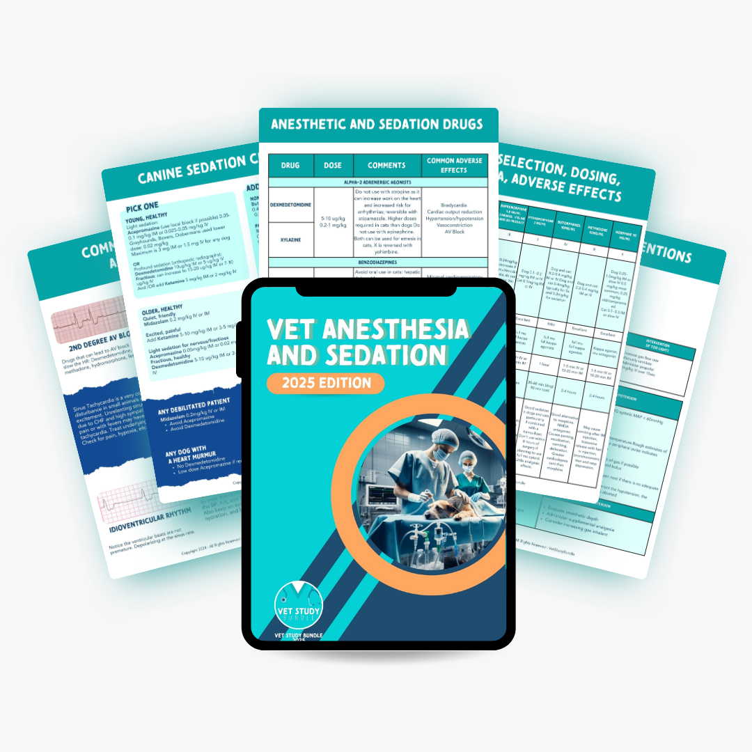 27.png__PID:05ce5bac-6bf0-47cb-bd67-7f04ba5b508c