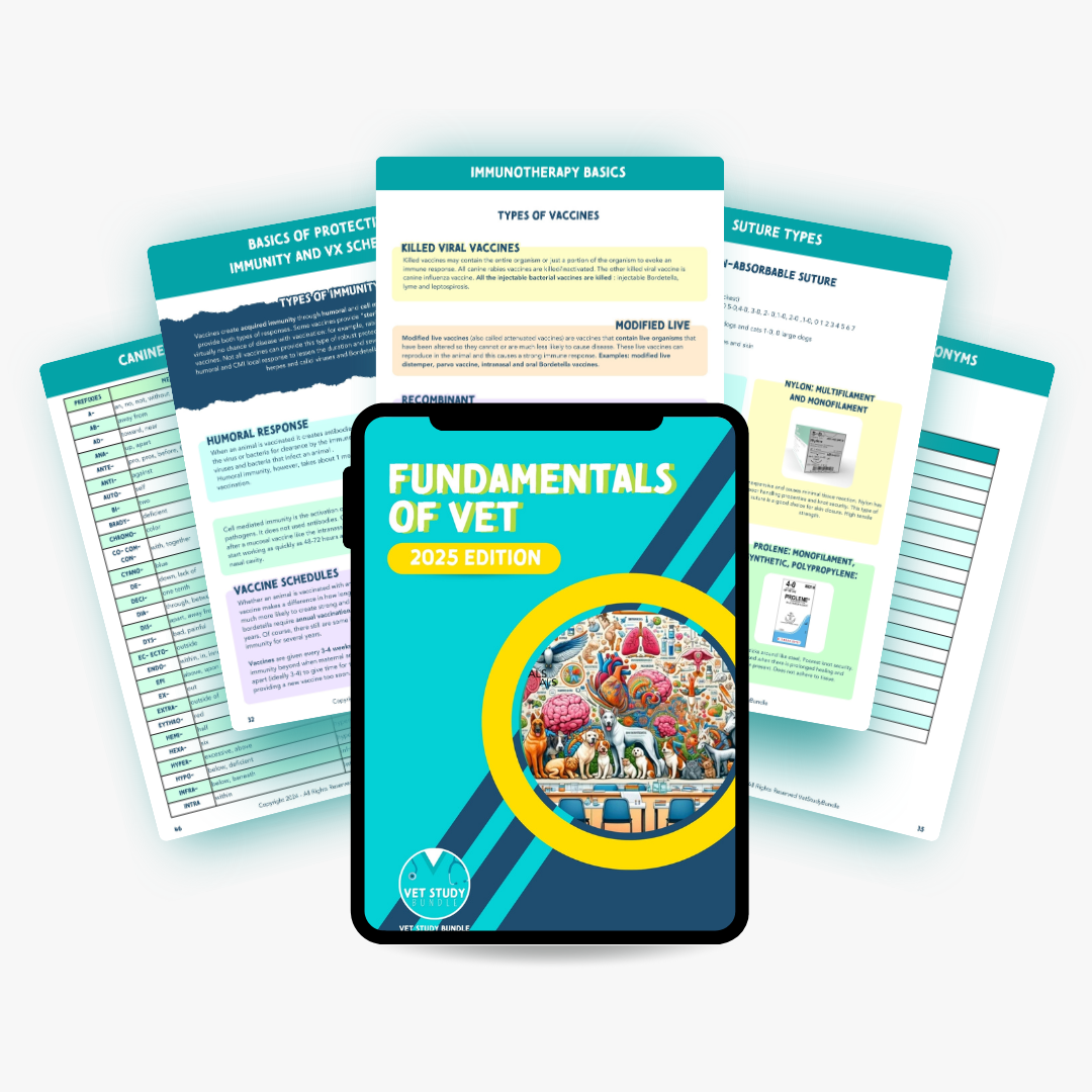 28.png__PID:ce5bac6b-f077-4b7d-a77f-04ba5b508cee