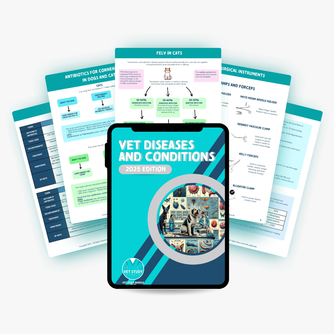 29.png__PID:5bac6bf0-77cb-4d67-bf04-ba5b508cee5a