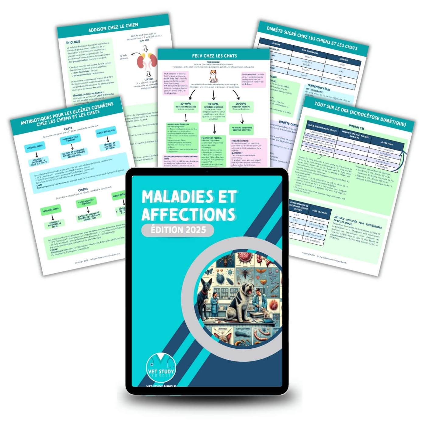 Le Pack d'Études Vétérinaire
