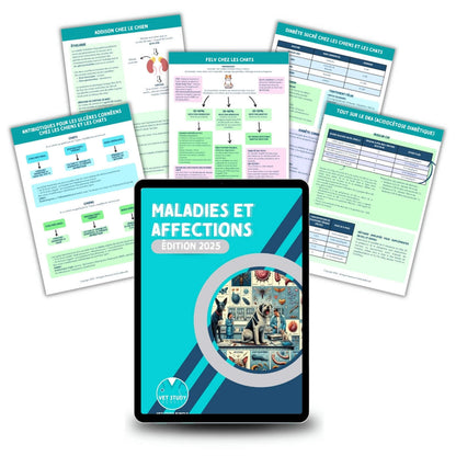 Le Pack d'Études Vétérinaire