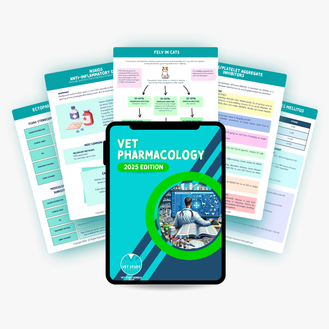 30.png__PID:ac6bf077-cb7d-477f-84ba-5b508cee5a9f