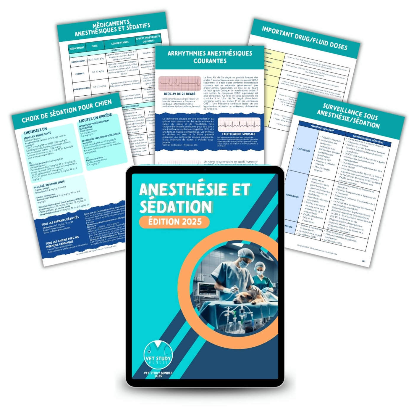 Le Pack d'Études Vétérinaire