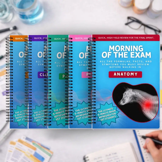 "Morning of the Exam" - Cheatsheets Bundle