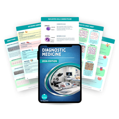 The Complete Vet Study Bundle