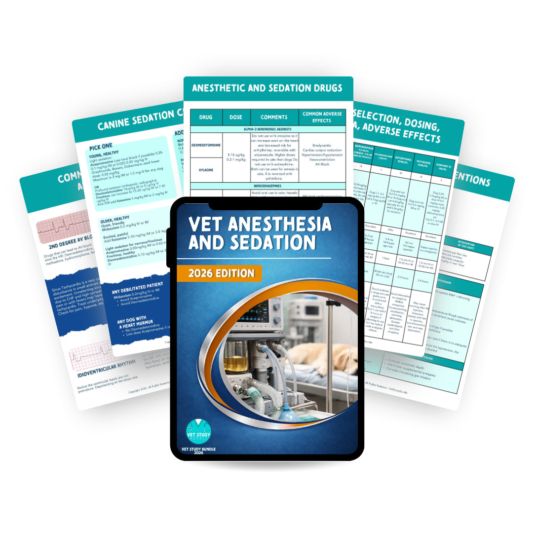The Complete Vet Study Bundle