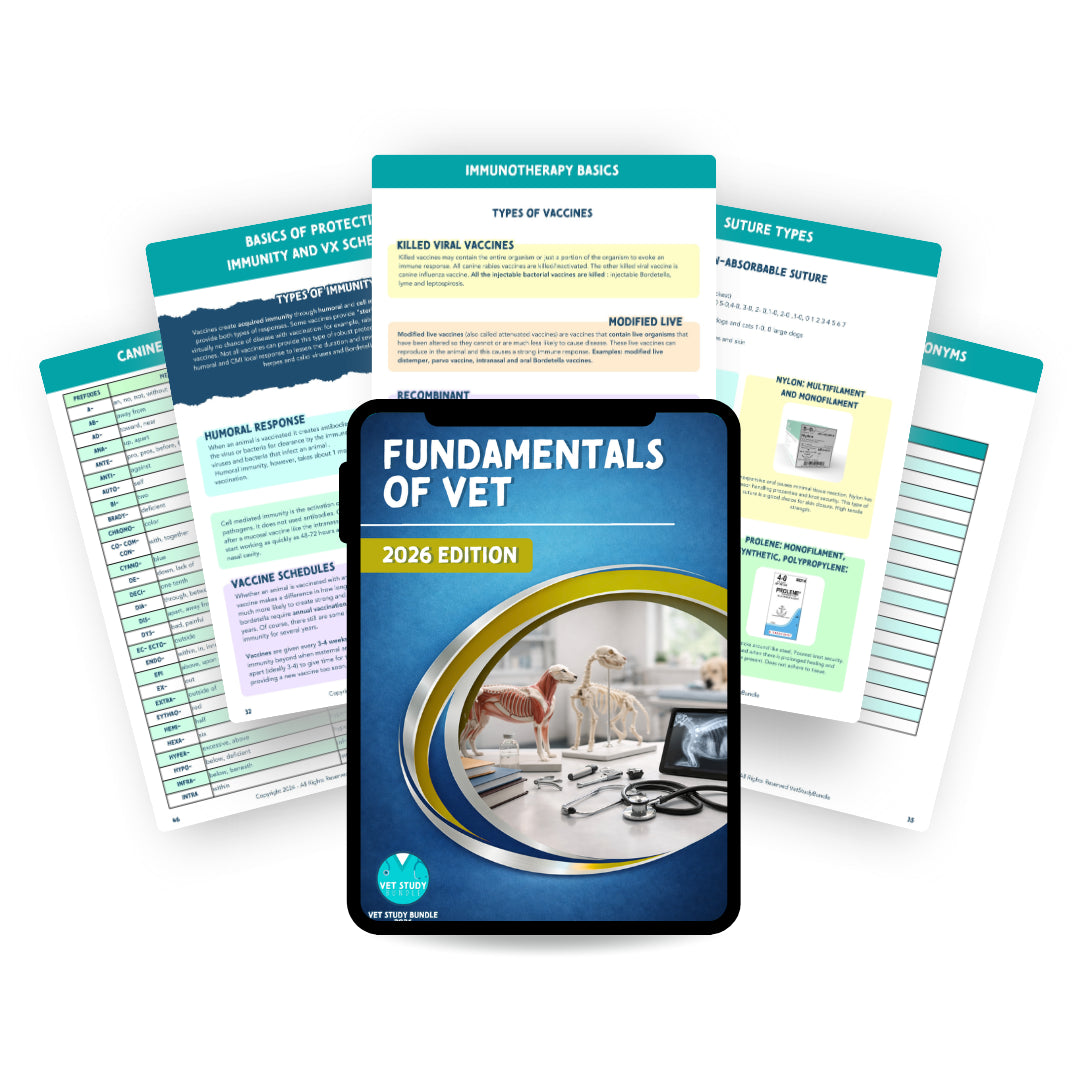 Vet Docnotes Vet Study Bundle – Concise Veterinary Study Notes & Flashcards