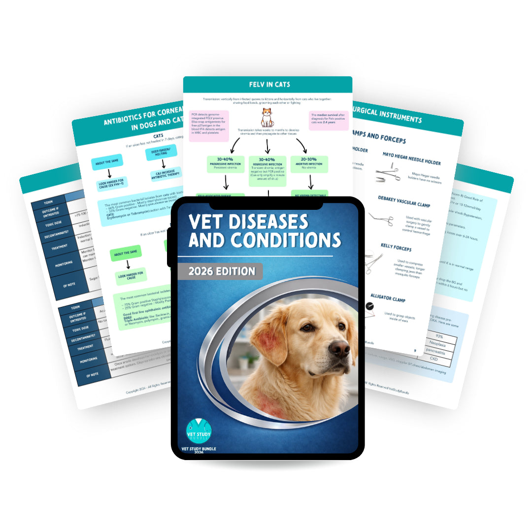Vet Docnotes Vet Study Bundle – Concise Veterinary Study Notes & Flashcards