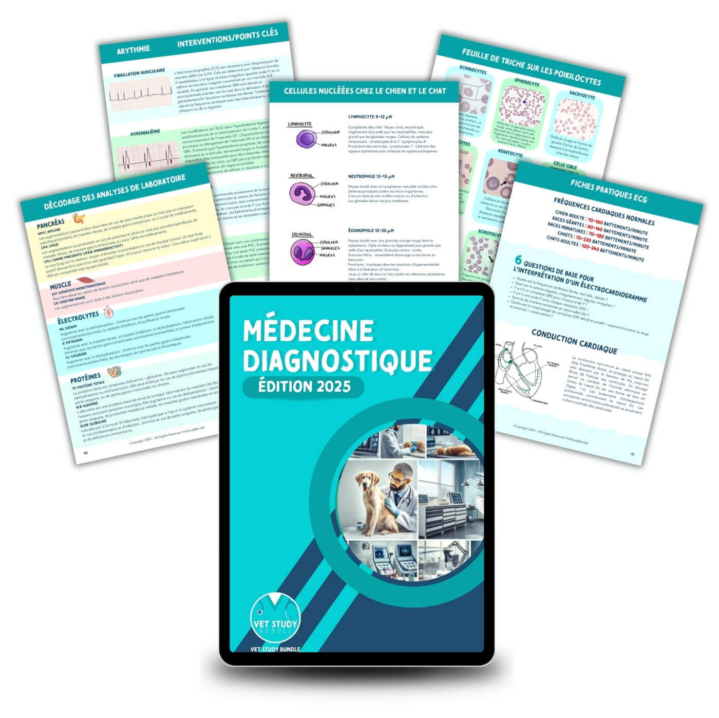 Le Pack d'Études Vétérinaire