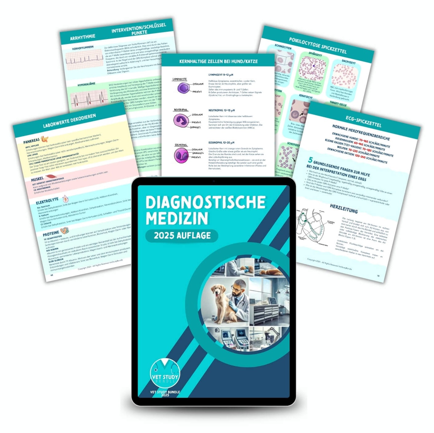 Das Vet Study Bundle