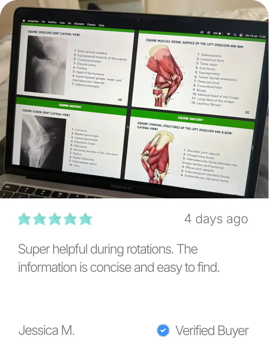Vetpro Lessons Vet Study Bundle – Concise Veterinary Study Notes & Flashcards