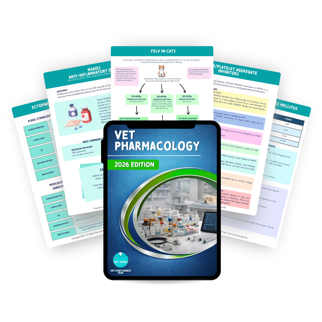 The Complete Vet Study Bundle