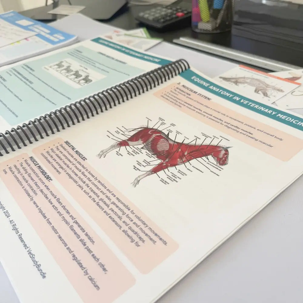The Complete Vet Study Bundle