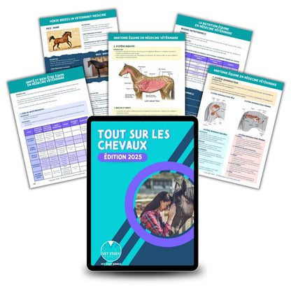 Le Pack d'Études Vétérinaire