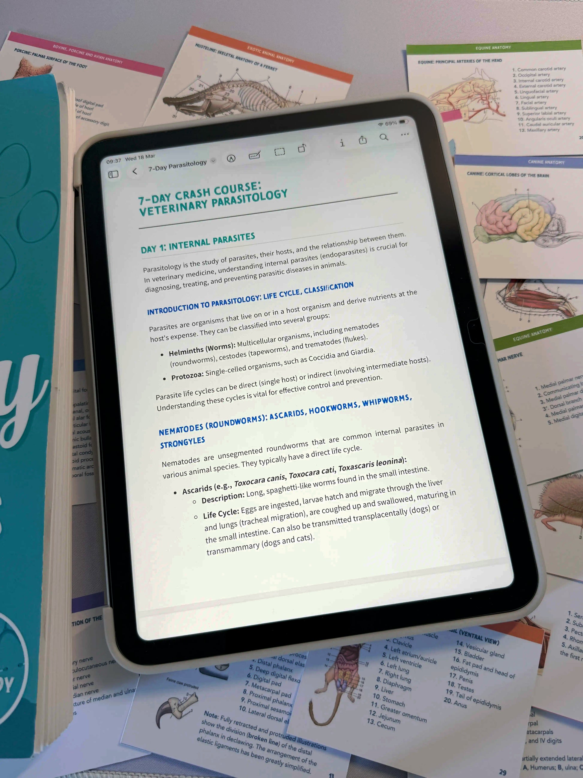 7-Day Crash Course + Review Quiz – Vet Study Bundle