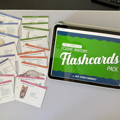 The Complete Vet Anatomy Flashcard Pack