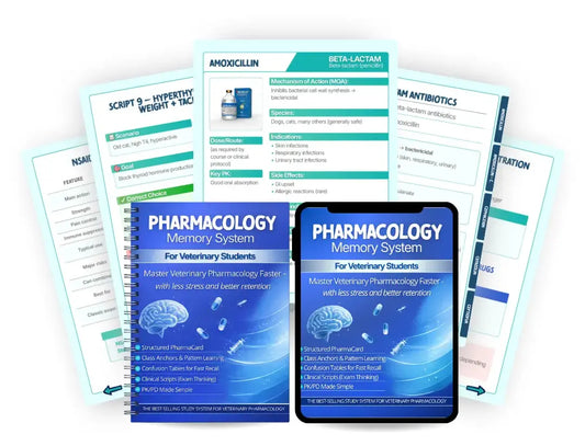 Grafiche Vet Study (1) copia.webp__PID:0224ec2f-7fa2-4fde-b68c-d6df7c0a2a3d