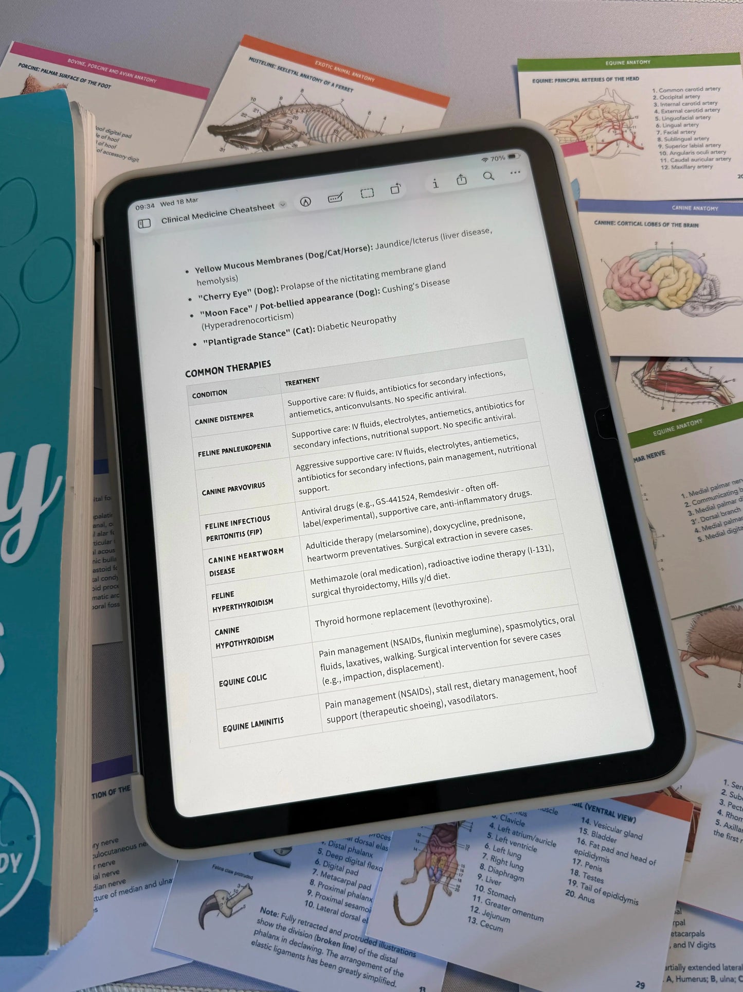 Last-Minute Vet Pass