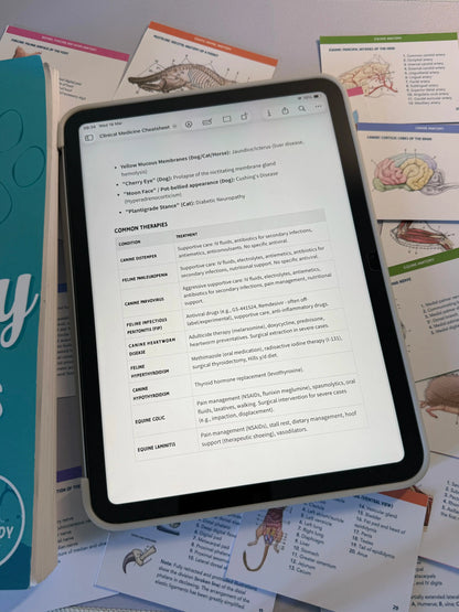 Last-Minute Vet Pass