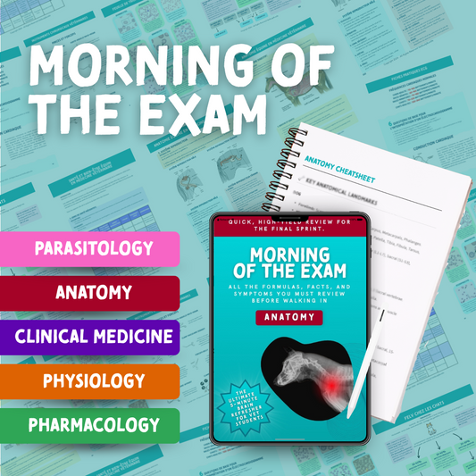 "Morning of the Exam" - Cheatsheets Bundle