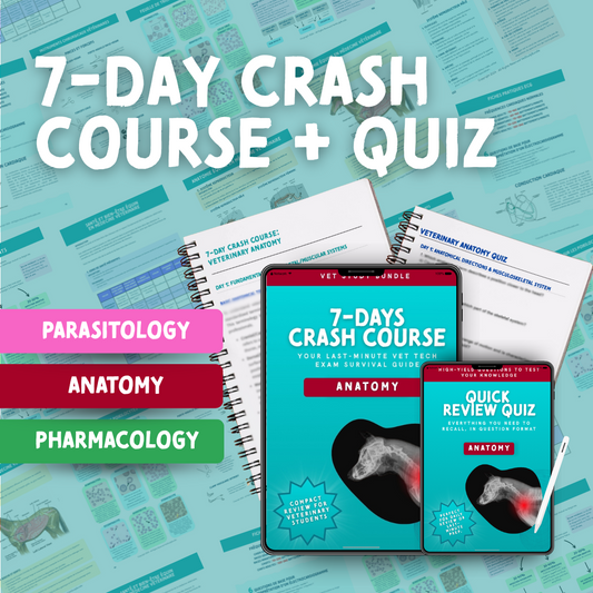 7-Day Crash Course + Review Quiz