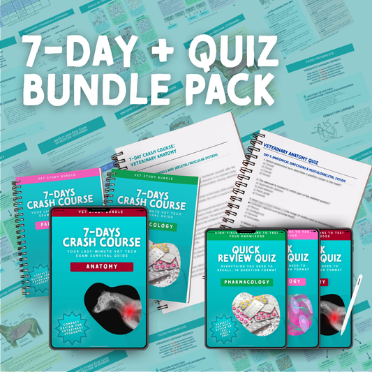 "7-Day Crash Course + Quiz" Bundle Pack