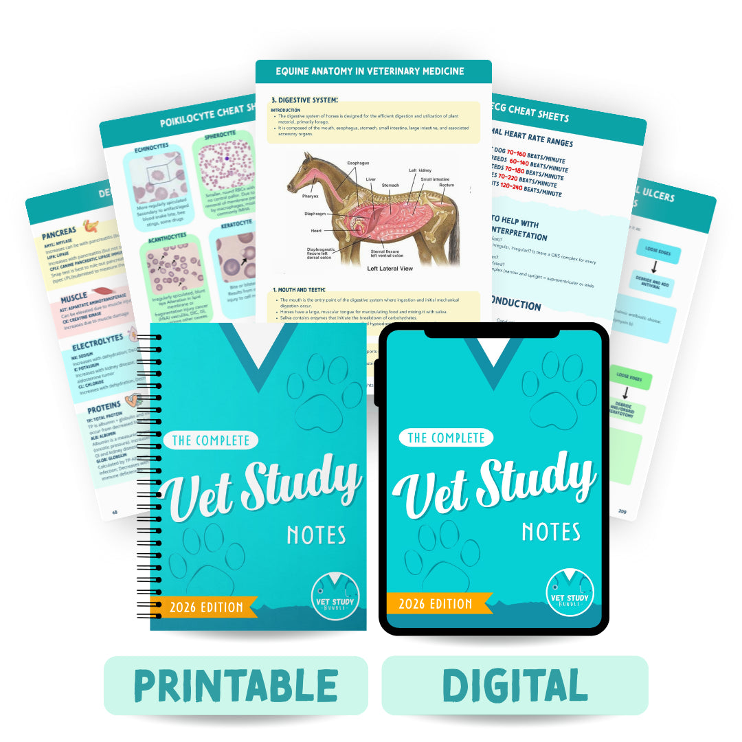Vet Database Homework Vet Study Bundle – Concise Veterinary Study Notes & Flashcards