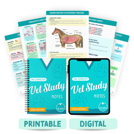 The Complete Vet Study Bundle