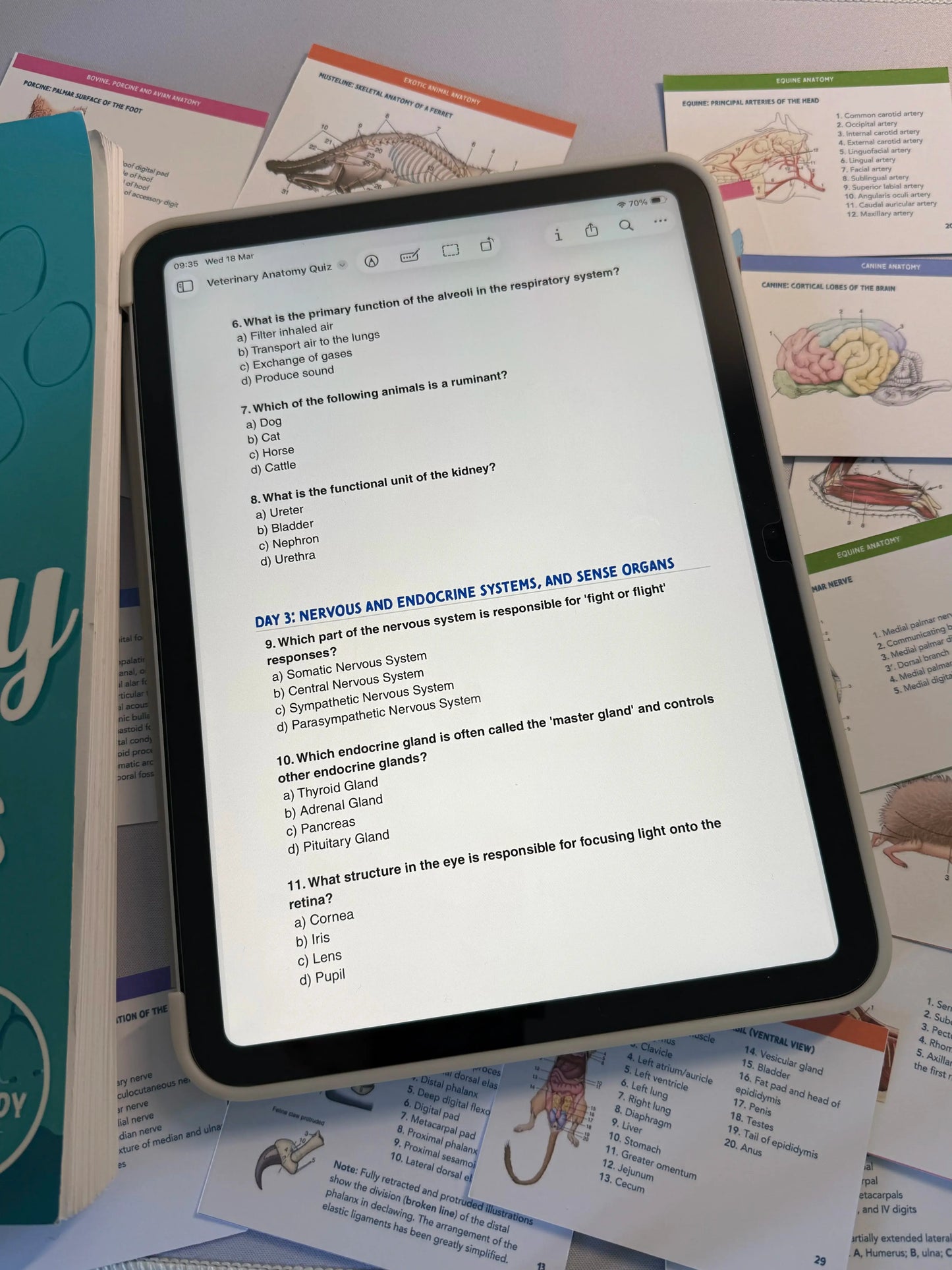 Last-Minute Vet Pass