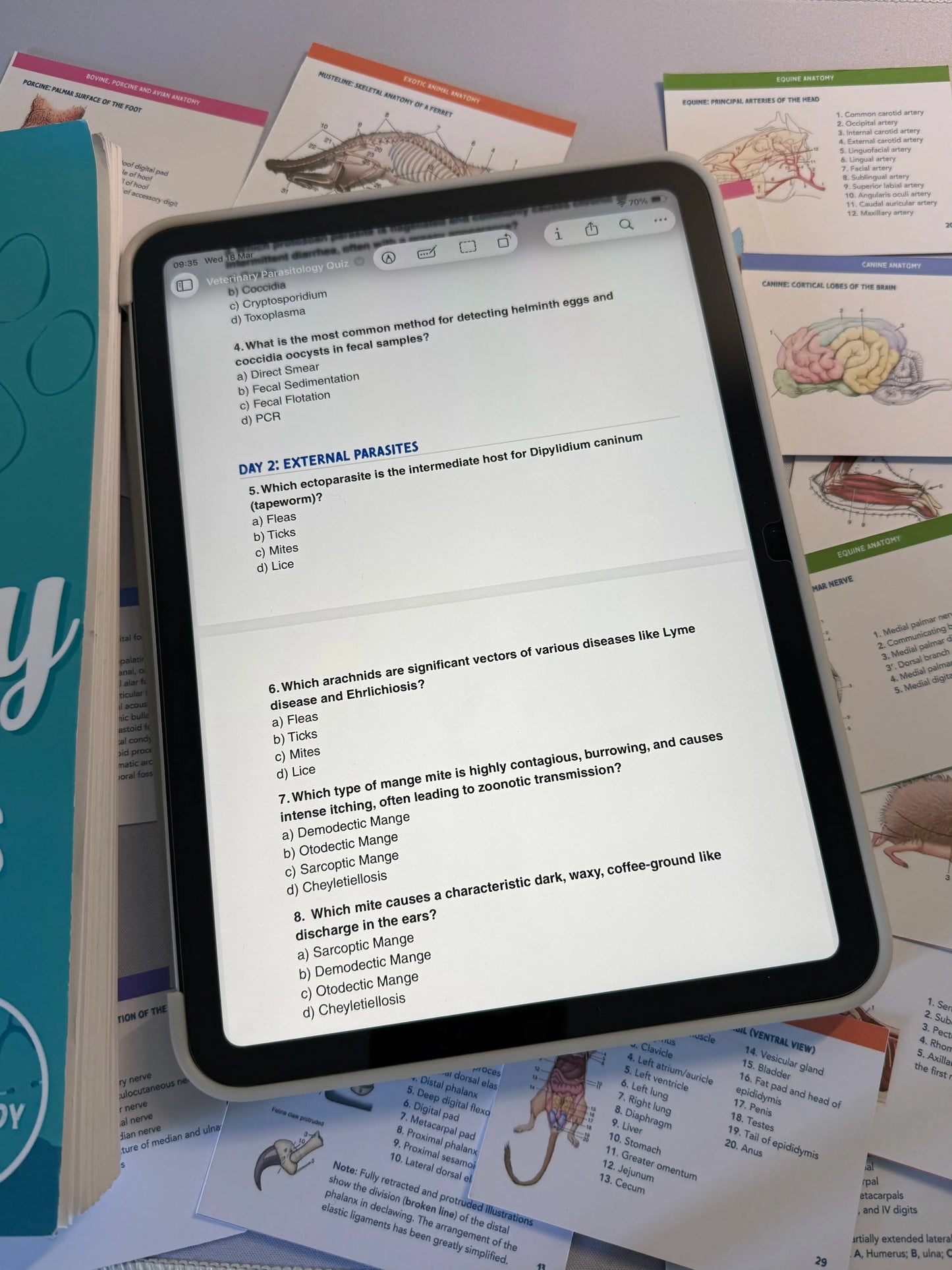 7-Day Crash Course + Review Quiz