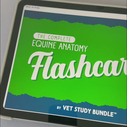 The Complete Vet Anatomy Flashcard Pack